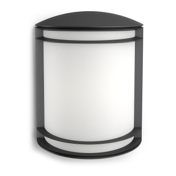 Philips - Ulkoseinävalaisin LED/6W/230V IP44