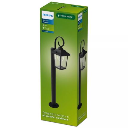 Philips - Ulkovalaisin BUZZARD 1xE27/25W/230V IP44