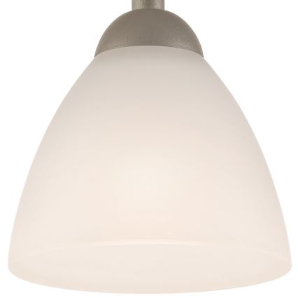 Pinnallinen kattovalaisin ADRIANO 1xE27/60W/230V pyökki