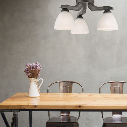 Pinnallinen kattovalaisin ADRIANO 3xE27/60W/230V pyökki