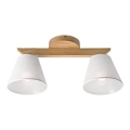 Pinnallinen kattovalaisin ANTONIO 2xE14/40W/230V tammi