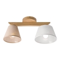 Pinnallinen kattovalaisin ANTONIO 2xE14/40W/230V tammi