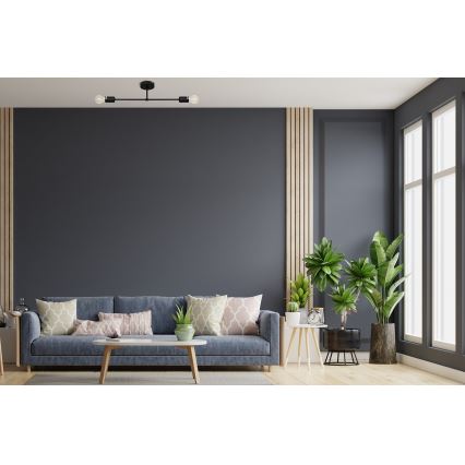 Pinta-asennettava kattokruunu CAMBRIDGE 2xE27/15W/230V musta