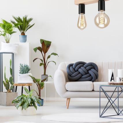 Pinta-asennettava kattovalaisin VITO 2xE27/60W/230V pyökki