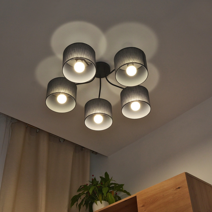 Pintakiinnitteinen kattovalaisin ALBA 5xE27/15W/230V harmaa