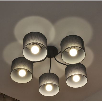 Pintakiinnitteinen kattovalaisin ALBA 5xE27/15W/230V harmaa