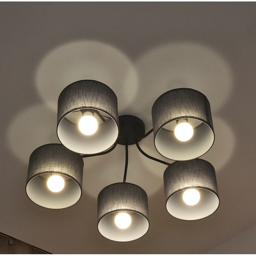 Pintakiinnitteinen kattovalaisin ALBA 5xE27/15W/230V harmaa