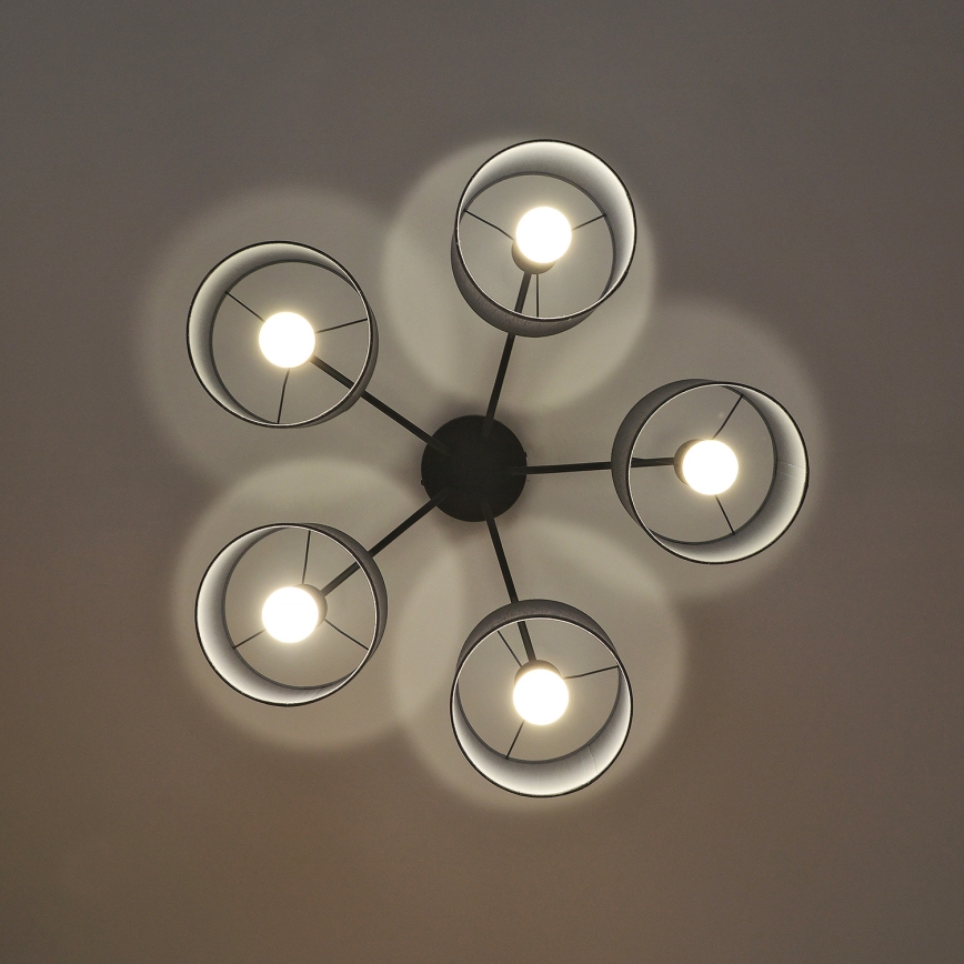 Pintakiinnitteinen kattovalaisin ALBA 5xE27/15W/230V harmaa