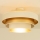 Pintakiinnitteinen kattovalaisin WENTA 1xE27/60W/230V, Ø 50 cm, beige/kultainen