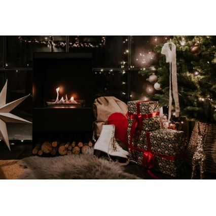 Planika - BIO-takka kaukosäätimellä 83,5x48 cm 2,5kW/230V musta