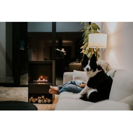 Planika - BIO-takka kaukosäätimellä 83,5x48 cm 2,5kW/230V musta