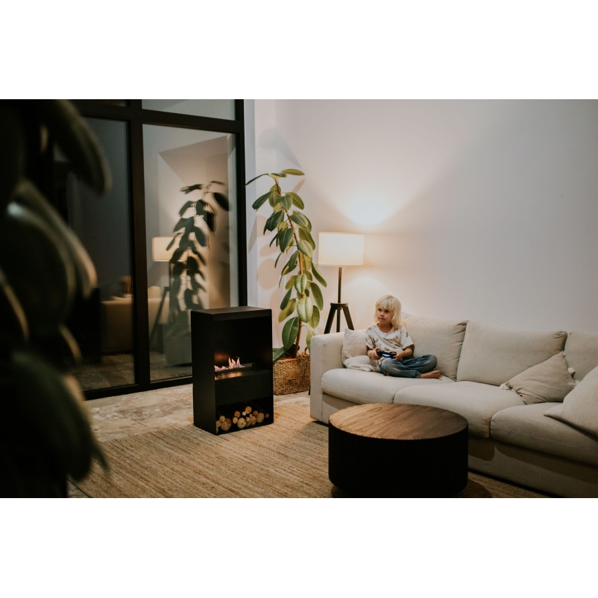 Planika - BIO-takka kaukosäätimellä 83,5x48 cm 2,5kW/230V musta