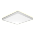 Prezent 27309 - LED-kattovalaisin kylpyhuoneeseen CORDIA SQ LED/24W/230V 3000/6000K IP54 valkoinen