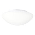 Prezent 45138 - LED-kylpyhuoneen kattovalaisin ASPEN LED/12W/230V IP44