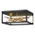 Quintiesse - LED-kattovalaisin STYX LED/8W/230V musta/kultainen