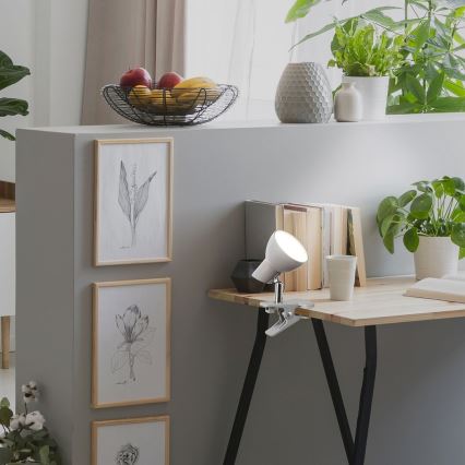 Rabalux - LED-lamppu kiinnikkeellä LED/5W/230V