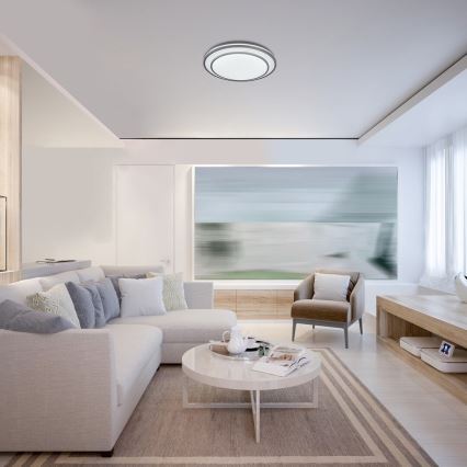 Rabalux - Himennettävä LED-kattovalaisin LED/40W/230V 3000-6500K hopea halkaisija 49 cm + kaukosäädin