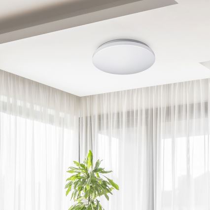 Rabalux - LED-kattovalaisin 32 W, 230 V, Ø 38 cm