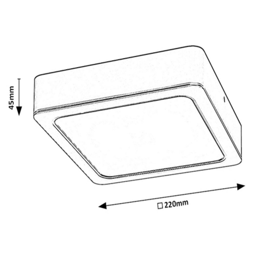 Rabalux - LED-kattovalaisin LED/24W/230V 22x22 cm