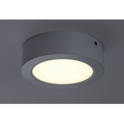 Rabalux - LED Kattovalaisin SHAUN LED/12W/230V d. 14,5 cm