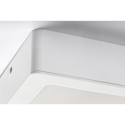Rabalux - LED-kattovalaisin LED/12W/230V 14,5x14,5 cm