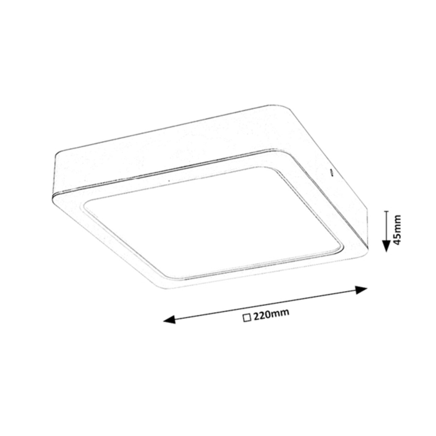 Rabalux - LED-kattovalaisin LED/24W/230V 22x22 cm