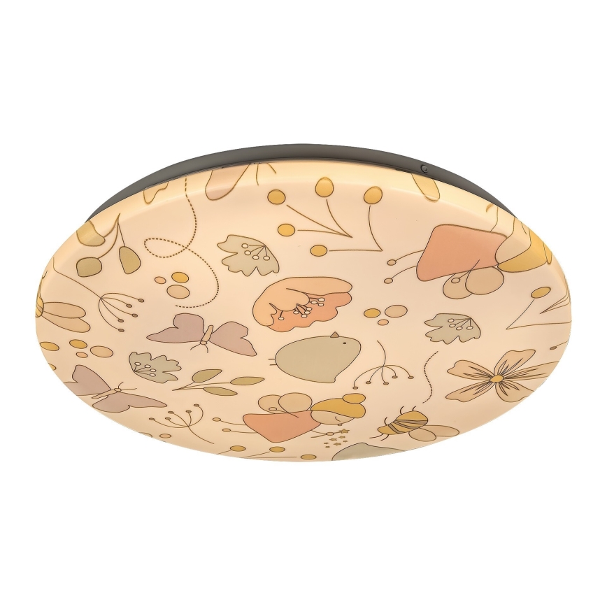 Rabalux - Lasten LED-kattovalaisin LED/24W/230V