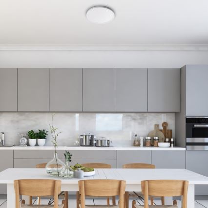 Rabalux - LED-kattovalaisin 18 W/230 V, halkaisija 29,3 cm