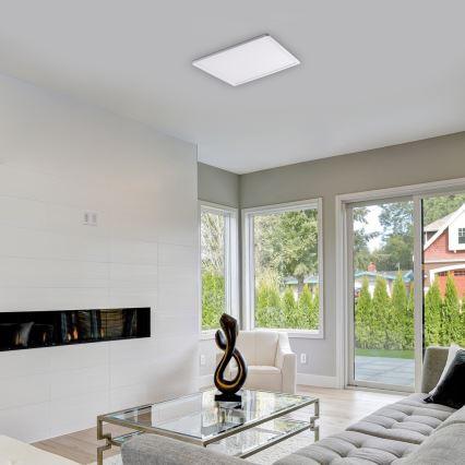 Rabalux - Himmennettävä LED-kattovalaisin LED/22W/230V 42x42 cm