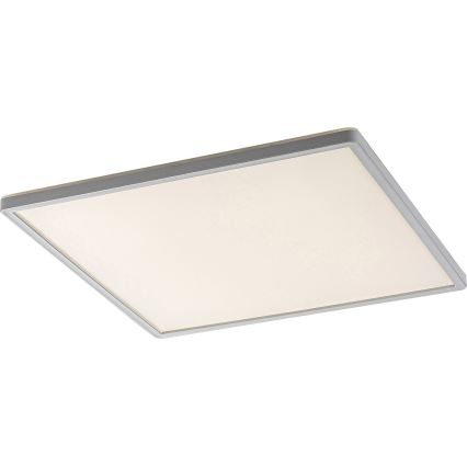Rabalux - Himmennettävä LED-kattovalaisin LED/22W/230V 42x42 cm