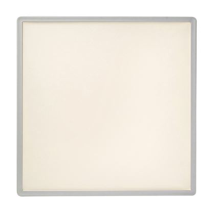 Rabalux - Himmennettävä LED-kattovalaisin LED/22W/230V 42x42 cm