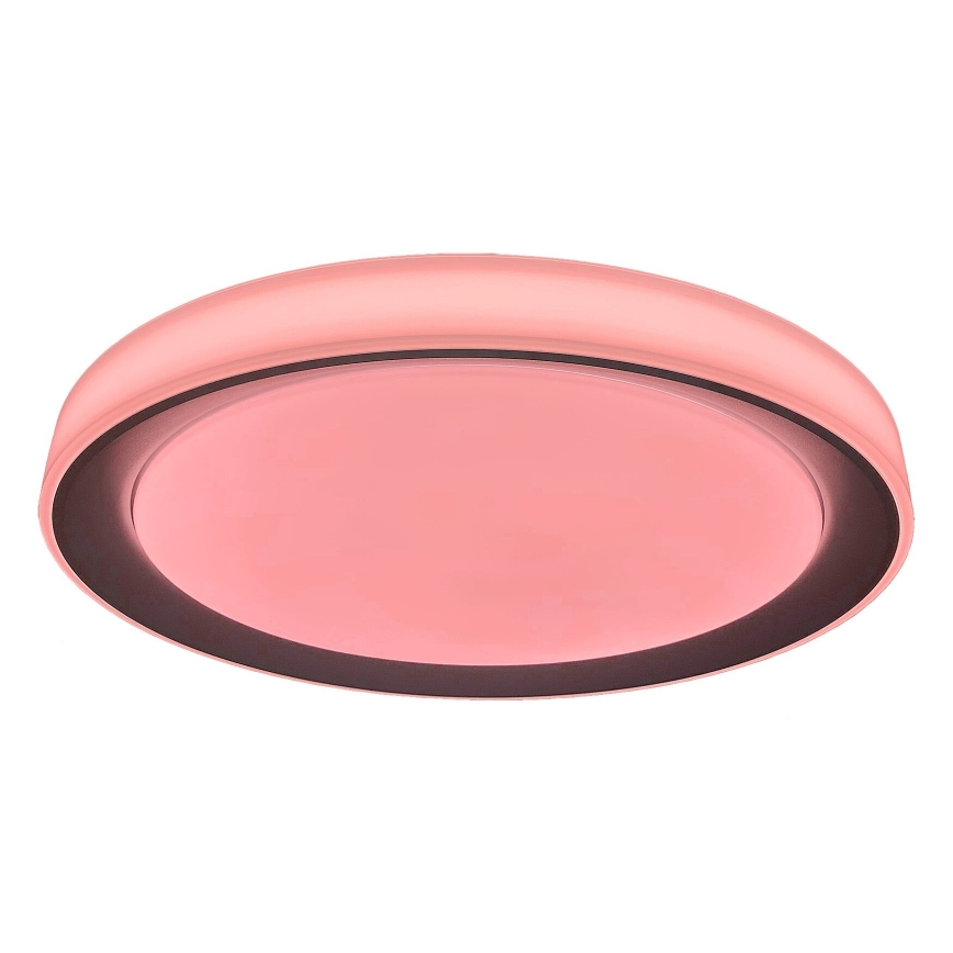Rabalux - LED RGB himmennettävä kattovalaisin LED/40W/230V 2700-6500K Wi-Fi Tuya halkaisija 51 cm + kaukosäädin