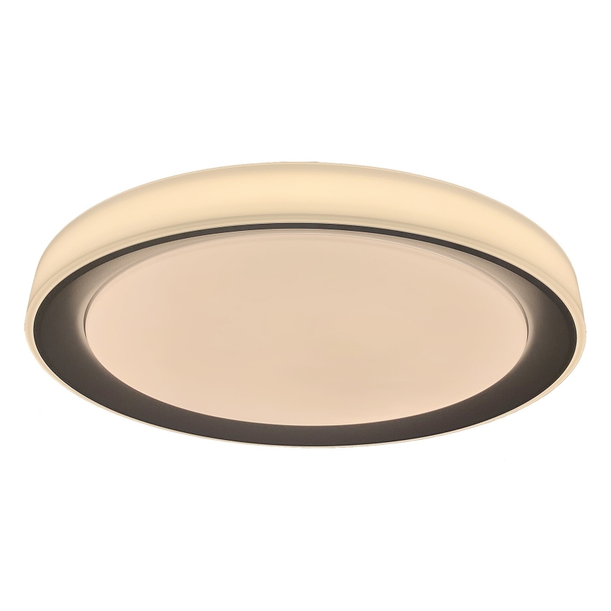 Rabalux - LED RGB himmennettävä kattovalaisin LED/40W/230V 2700-6500K Wi-Fi Tuya halkaisija 51 cm + kaukosäädin