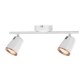 Rabalux 5046 - LED-kohdevalaisin SOLANGE 2xLED/6W/230V