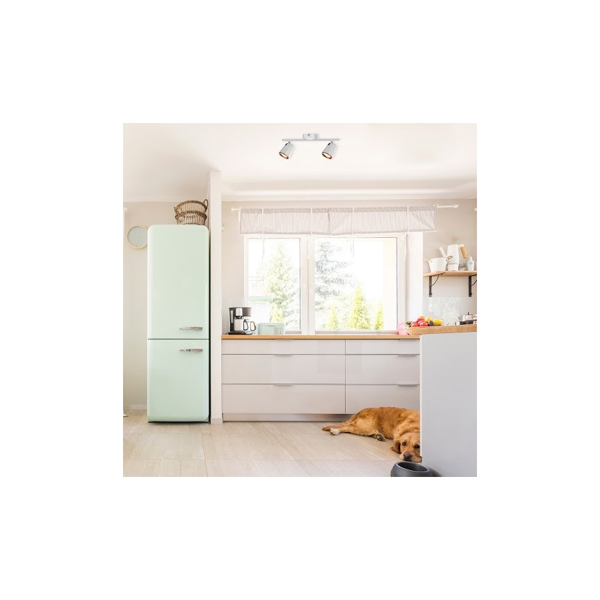 Rabalux 5046 - LED-kohdevalaisin SOLANGE 2xLED/6W/230V