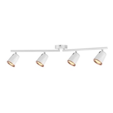Rabalux 5048 - LED-kohdevalaisin SOLANGE 4xLED/6W/230V