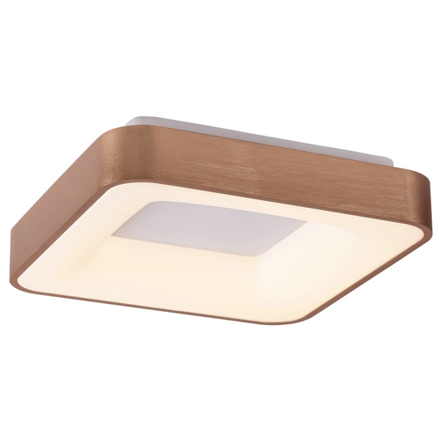 Rabalux - LED-kattovalaisin CARMELA LED/30W/230V 40x40 cm