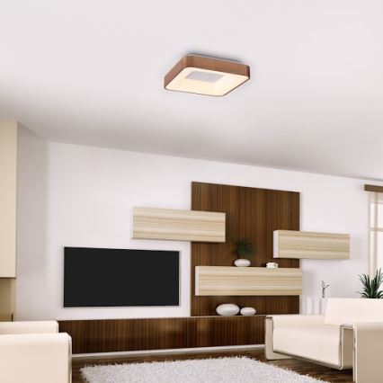 Rabalux - LED-kattovalaisin CARMELA LED/30W/230V 40x40 cm