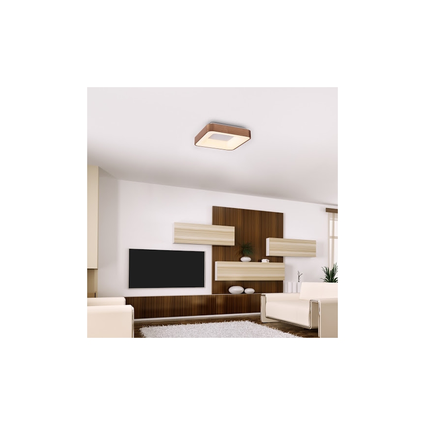 Rabalux - LED-kattovalaisin CARMELA LED/30W/230V 40x40 cm