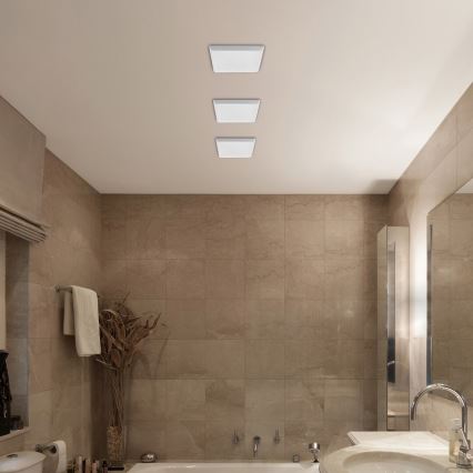 Rabalux - LED-kattovalaisin OLEG LED/24W/230V IP65