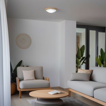 Rabalux - Kattovalo 1xE27/60W/230V halkaisija 30 cm