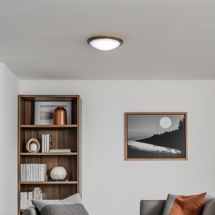 Rabalux - Kattovalo 1xE27/60W/230V halkaisija 30 cm