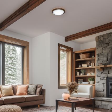 Rabalux - Kattovalo 1xE27/60W/230V halkaisija 30 cm