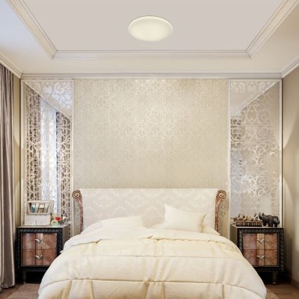 Rabalux - himmennettävä LED-kattovalaisin LED/36W/230V + kaukosäädin 3000K - 6500K Ø 40 cm