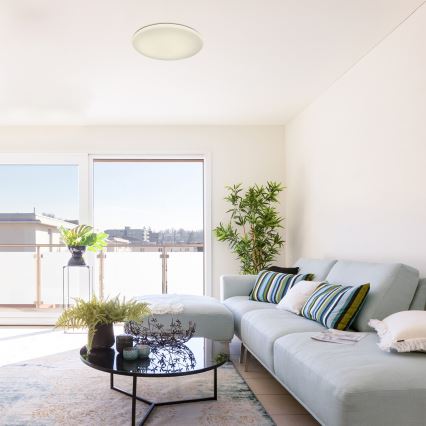 Rabalux - Himmennettävä LED-kattovalaisin LED/60W/230V + kaukosäädin, halkaisija 60 cm