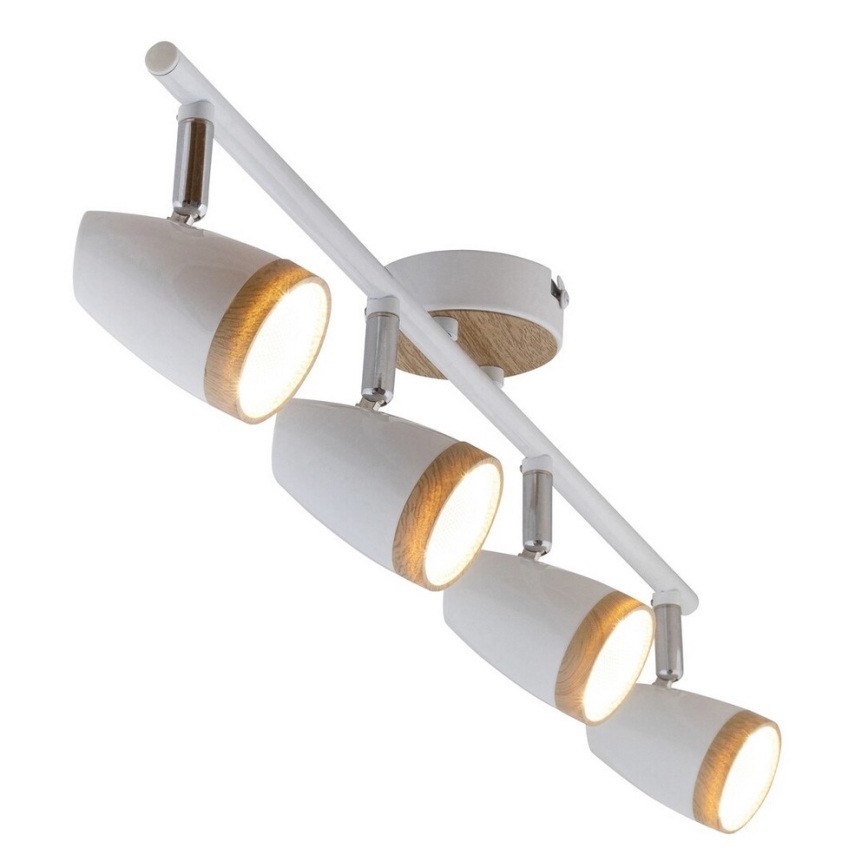 Rabalux - LED-kohdevalaisin 4xLED/4W/230V