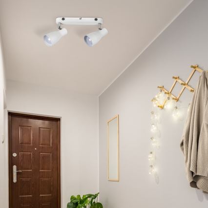 Rabalux - Kohdevalaisin 2xE27/20W/230V