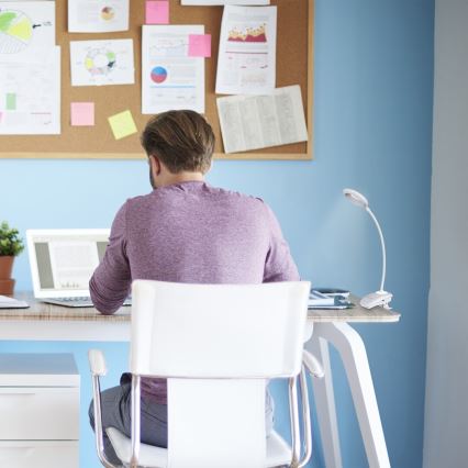 Rabalux 6448 - Himmennettävä LED-lamppu klipsillä HARRIS LED / 4W