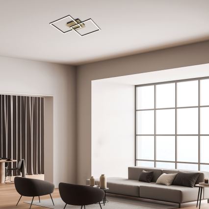 Rabalux - LED-kattovalaisin LED/24W/230V 40x40 cm