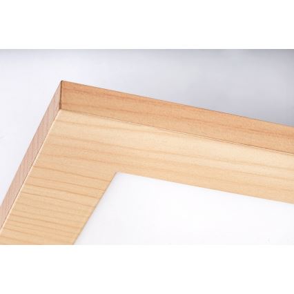 Rabalux - LED Pinta-asennettava paneeli LED/12W/230V 4000K